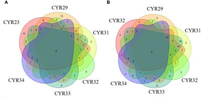 Comparative analysis of stripe rust resistance in seedling stage and Yr gene incidence in spring and winter wheat from Xinjiang, China